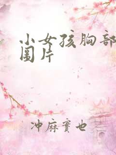 小女孩胸部发育图片