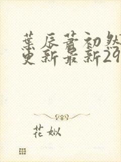 叶辰萧初然刚刚更新最新2973章节