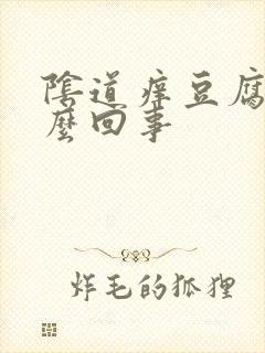 阴道痒豆腐渣怎么回事