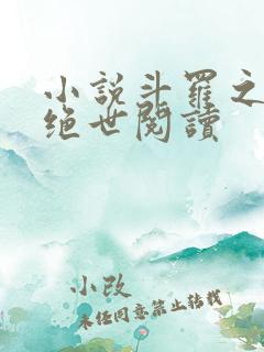 小说斗罗之双枪绝世阅读