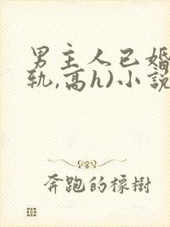 男主人已婚(出轨,高h)小说