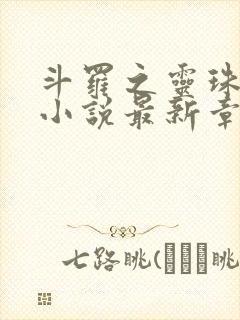 斗罗之灵珠神剑小说最新章节目录