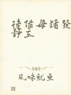 后备母猪发情不静立