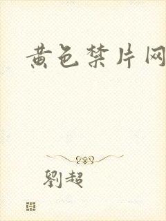 黄色禁片网站
