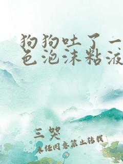 狗狗吐了一滩白色泡沫粘液还拉稀