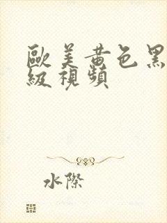 欧美黄色黑人一级视频