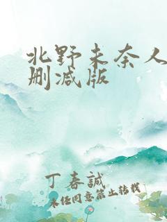 北野未奈人妻未删减版