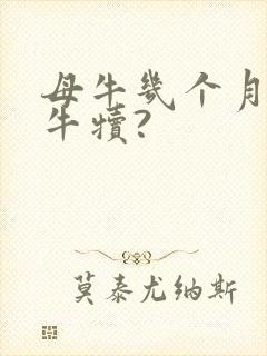 母牛几个月生小牛犊?
