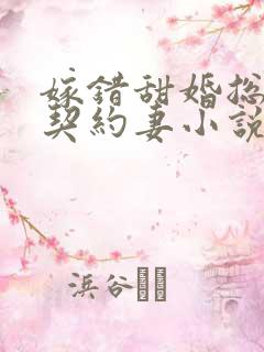 嫁错甜婚总裁的契约妻小说