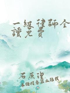 一级律师全文阅读免费