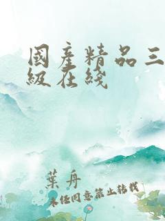 国产精品三级一级在线