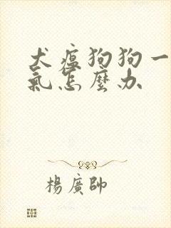 犬瘟狗狗一直喘气怎么办