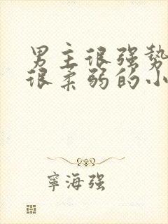 男主很强势女主很柔弱的小说