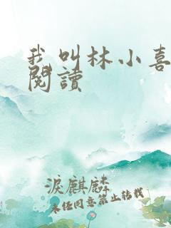 我叫林小喜第一阅读