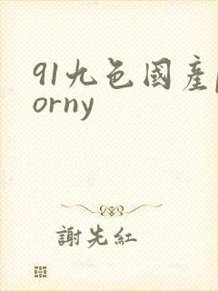 91九色国产porny