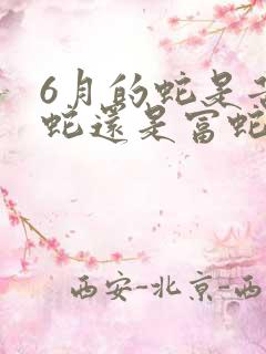 6月的蛇是苦命蛇还是富蛇