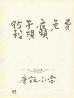 95午夜免费福利视频