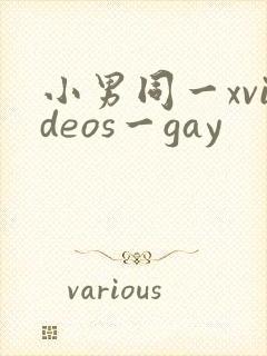 小男同一xvideos一gay