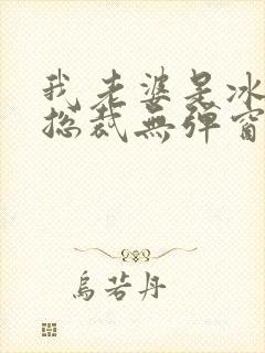 我老婆是冰山女总裁无弹窗