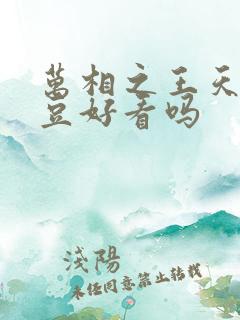 万相之王天蚕土豆好看吗