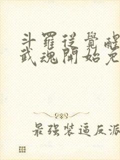 斗罗从觉醒朱雀武魂开始免费阅读