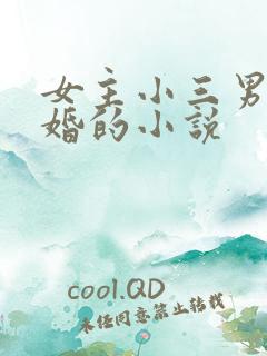 女主小三男主已婚的小说