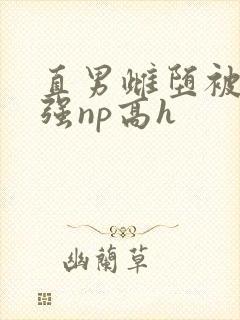 直男雌堕被疯批强np高h