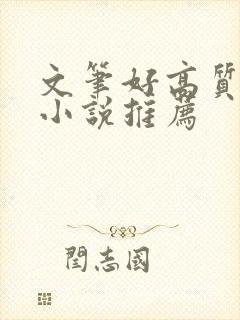 文笔好高质量的小说推荐