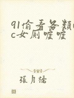 91偷看各类wc女厕嘘嘘