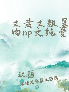 又黄又粗暴的纯肉np文纯爱