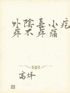 外阴长小疙瘩不疼不疼痛