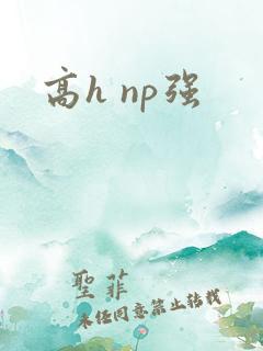 高h np强