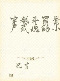 穿越斗罗觉醒僵尸武魂的小说