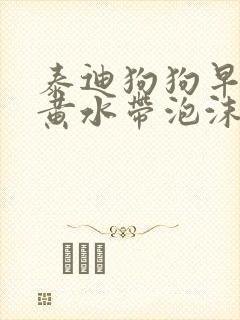 泰迪狗狗早上吐黄水带泡沫