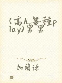 (高h,各种play)男男