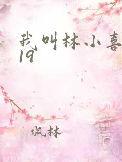 我叫林小喜今年19