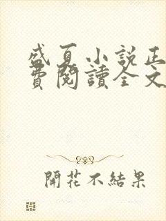 盛夏小说正版免费阅读全文无弹窗