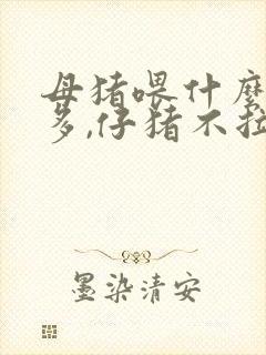 母猪喂什么奶水多,仔猪不拉稀