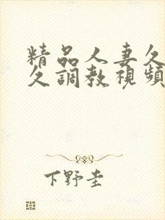 精品人妻久久久久调教视频