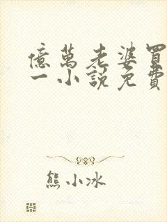 亿万老婆买一送一小说免费下载