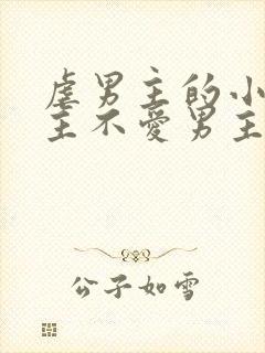 虐男主的小说女主不爱男主