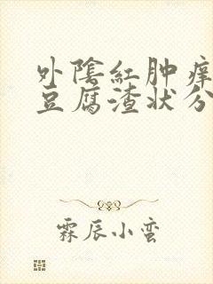 外阴红肿痒伴有豆腐渣状分泌物