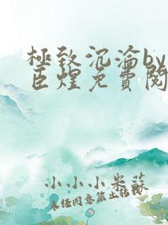 极致沉沦by宋臣煜免费阅读笔趣阁