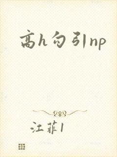 高h勾引np