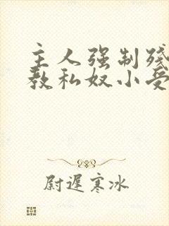 主人强制残忍调教私奴小受小说