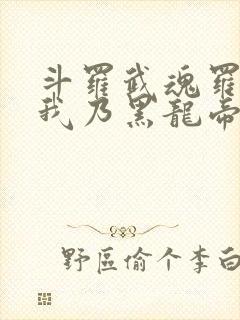 斗罗武魂罗三炮我乃黑龙帝君