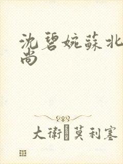 沈碧婉苏北宸和尚