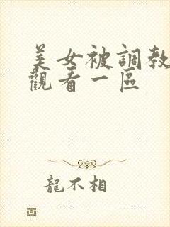 美女被调教在线观看一区