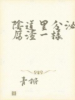 阴道里分泌物豆腐渣一样