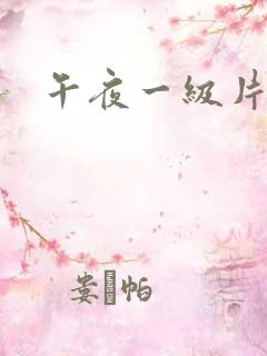 午夜一级片动漫